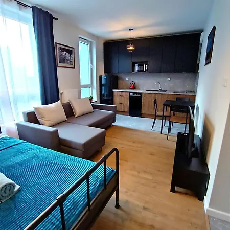 Apartment Alfahome Centrum Lodz (Lodz)